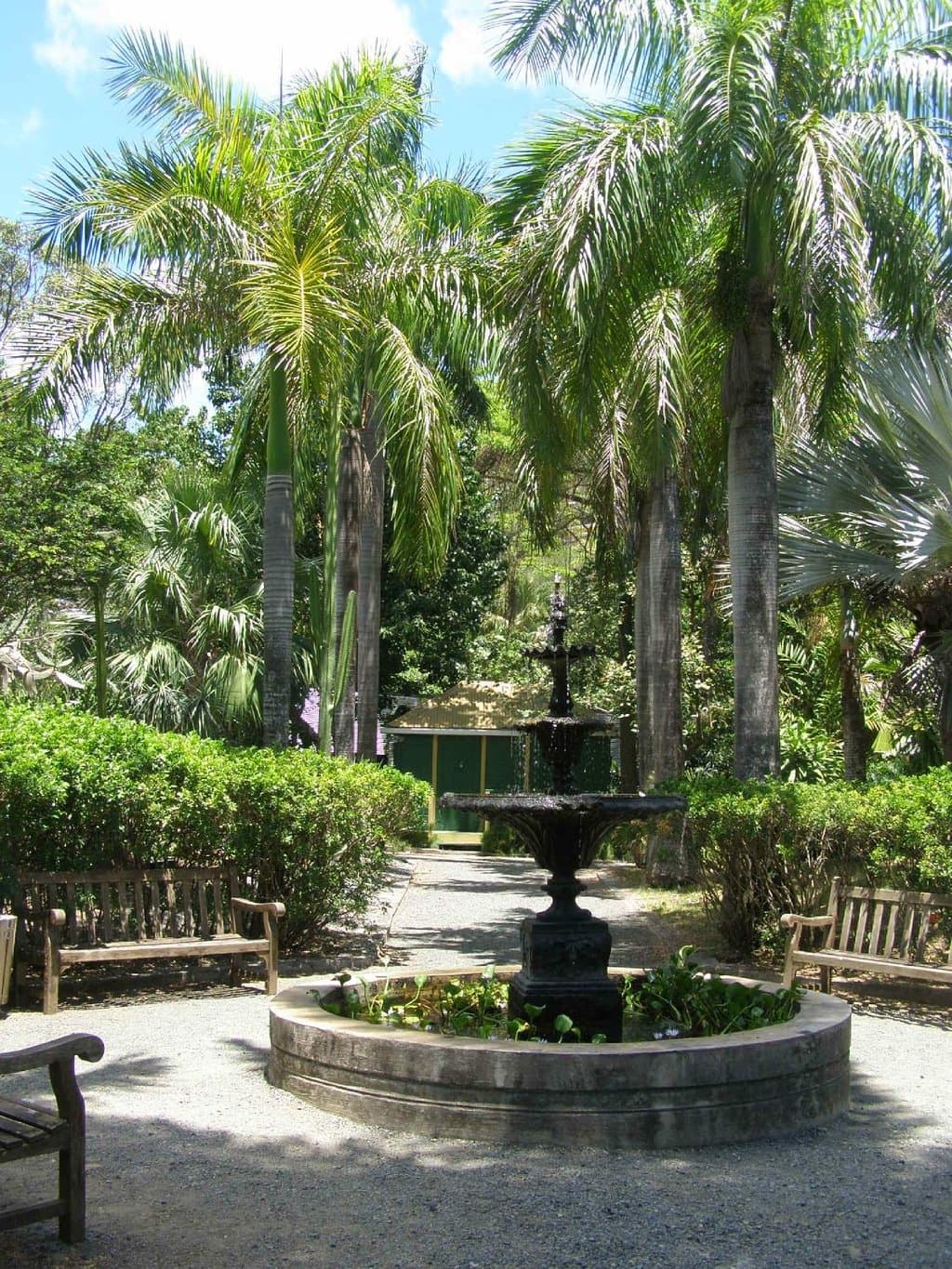 J.R. O'Neal Botanical Garden - BVI National Parks