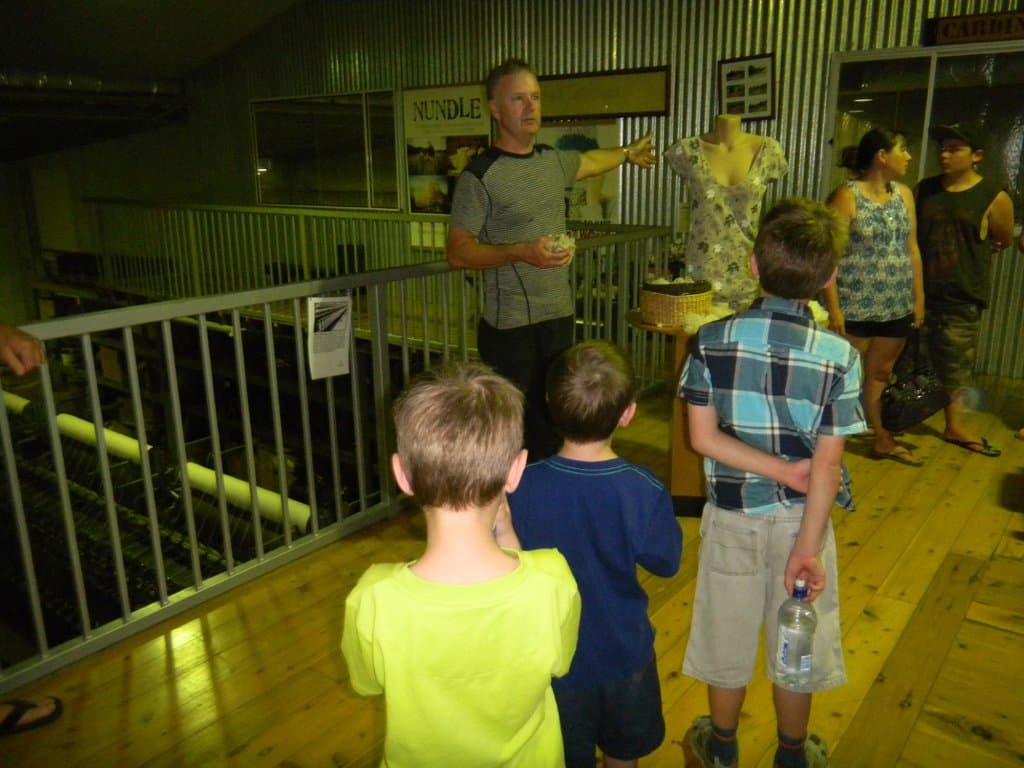 Informative and Interesting Tour