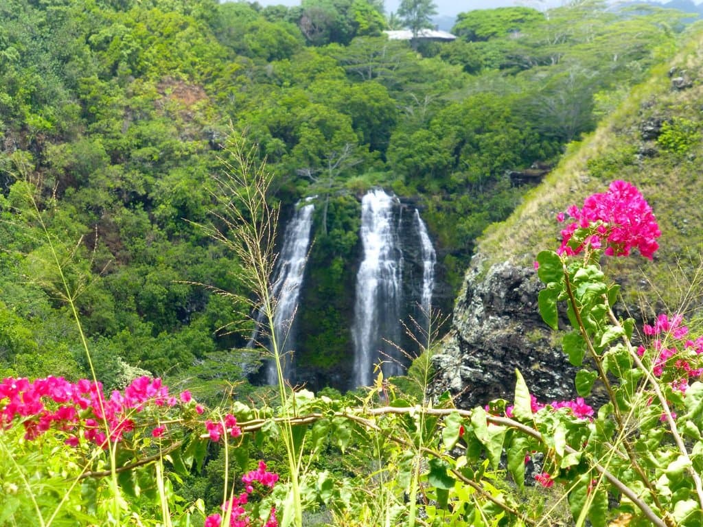 Falls view from overlook