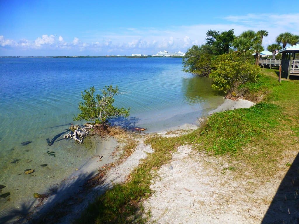 Banana River from the park