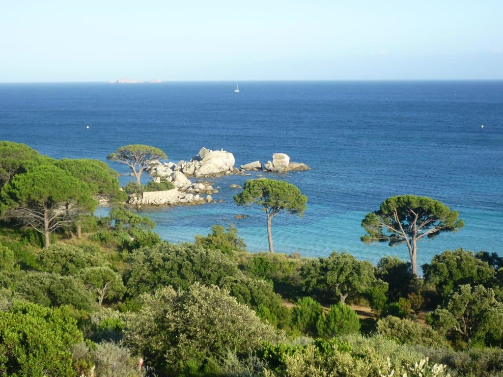 corsica