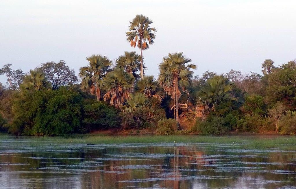 Lake Simenti