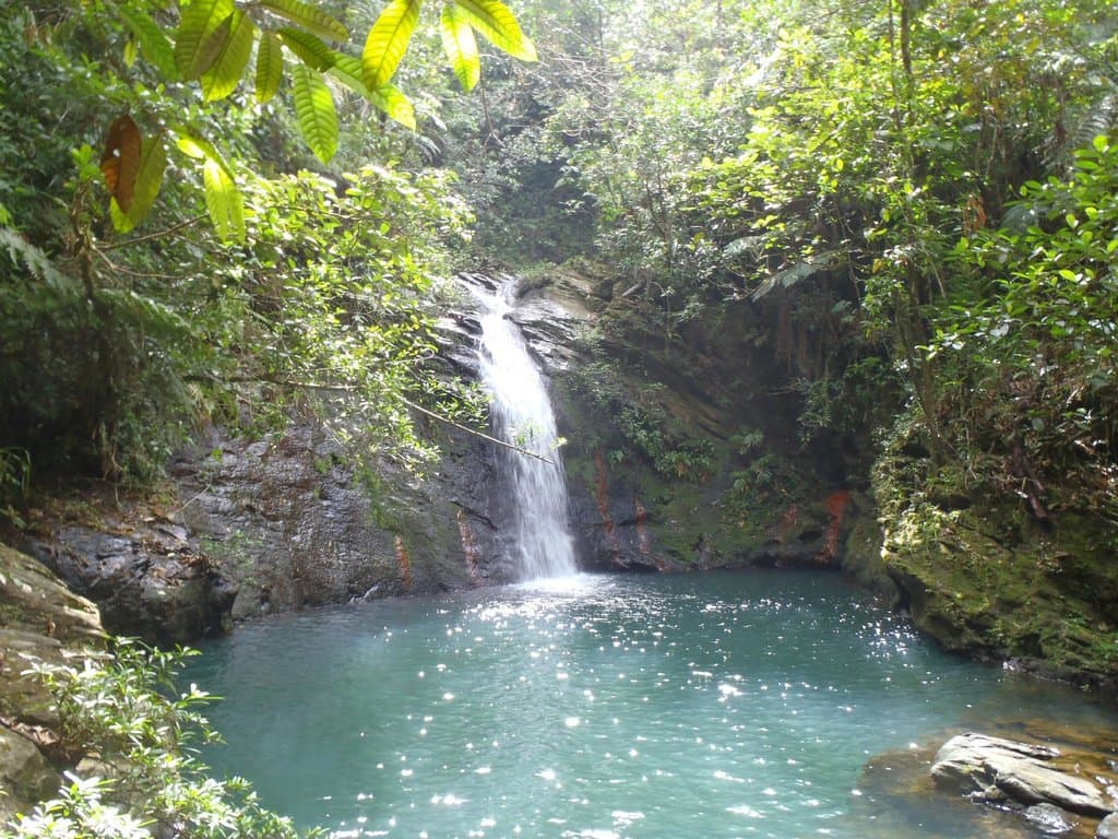 Tiger Fern Falls (lower) - a must do for any visitor!