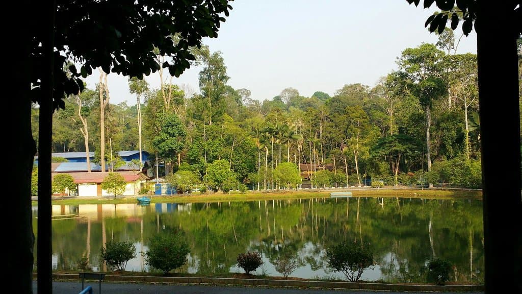 Lake near the garden