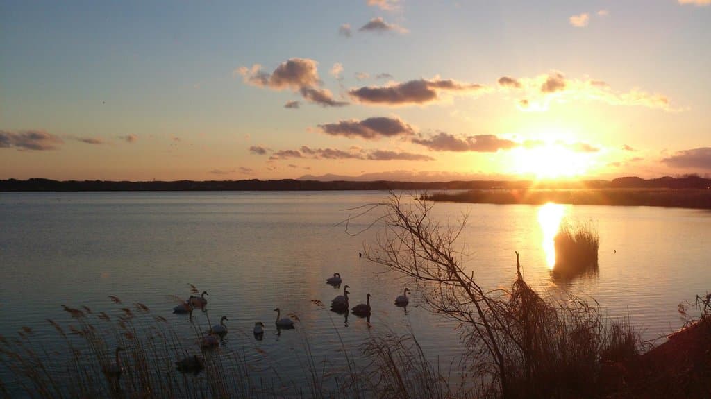 伊豆沼東岸から眺める夕日