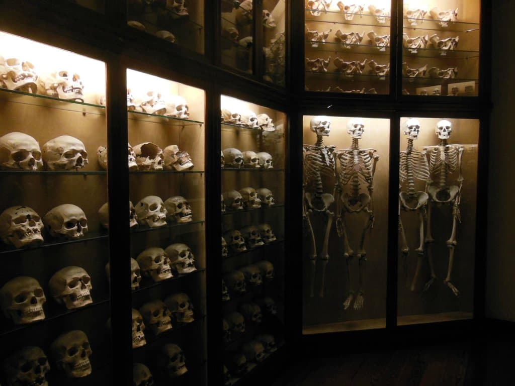 Museo Canario