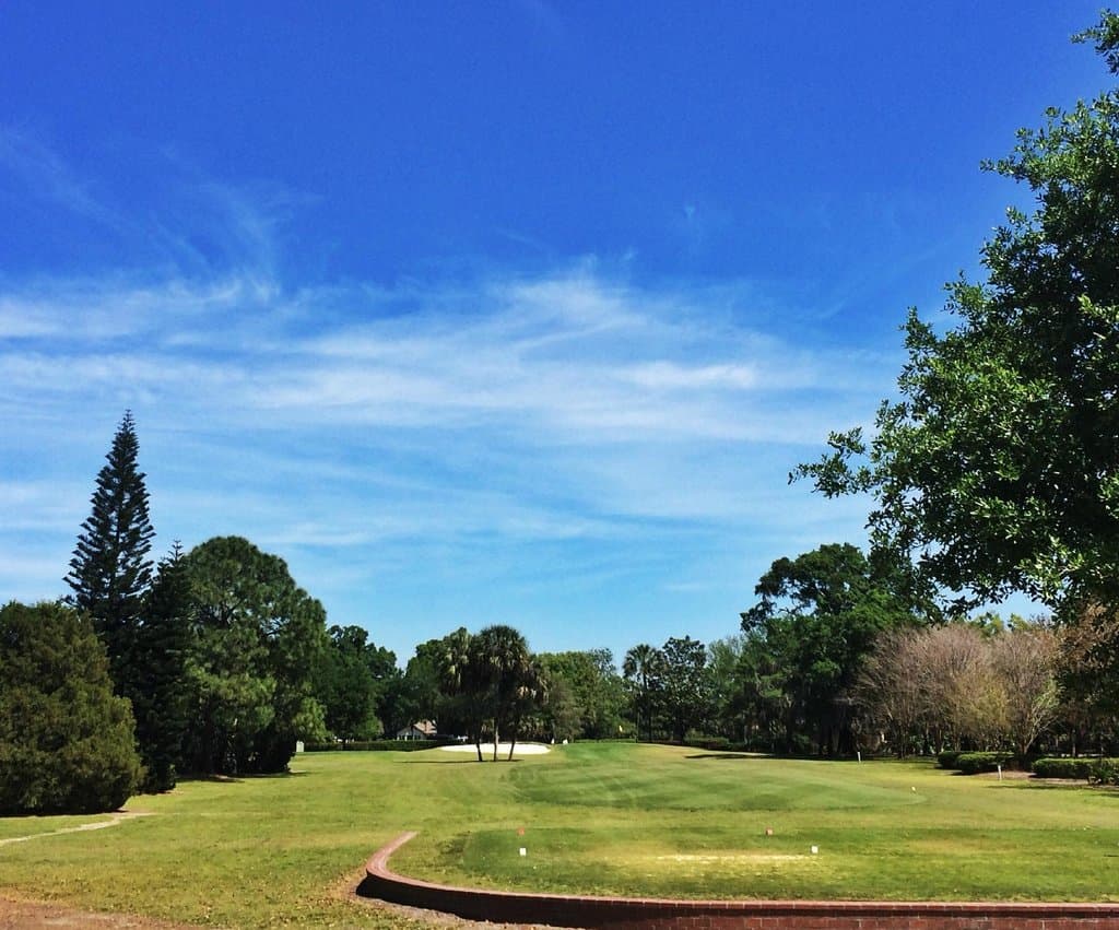 Short Par Three