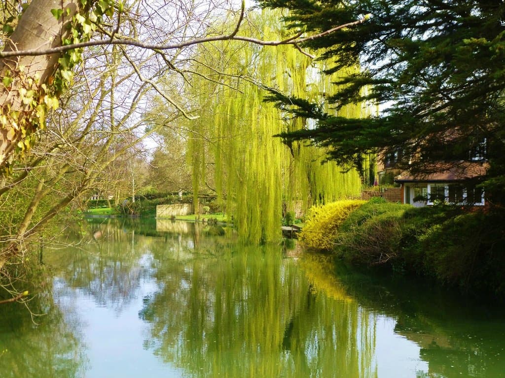 Iffley Lock