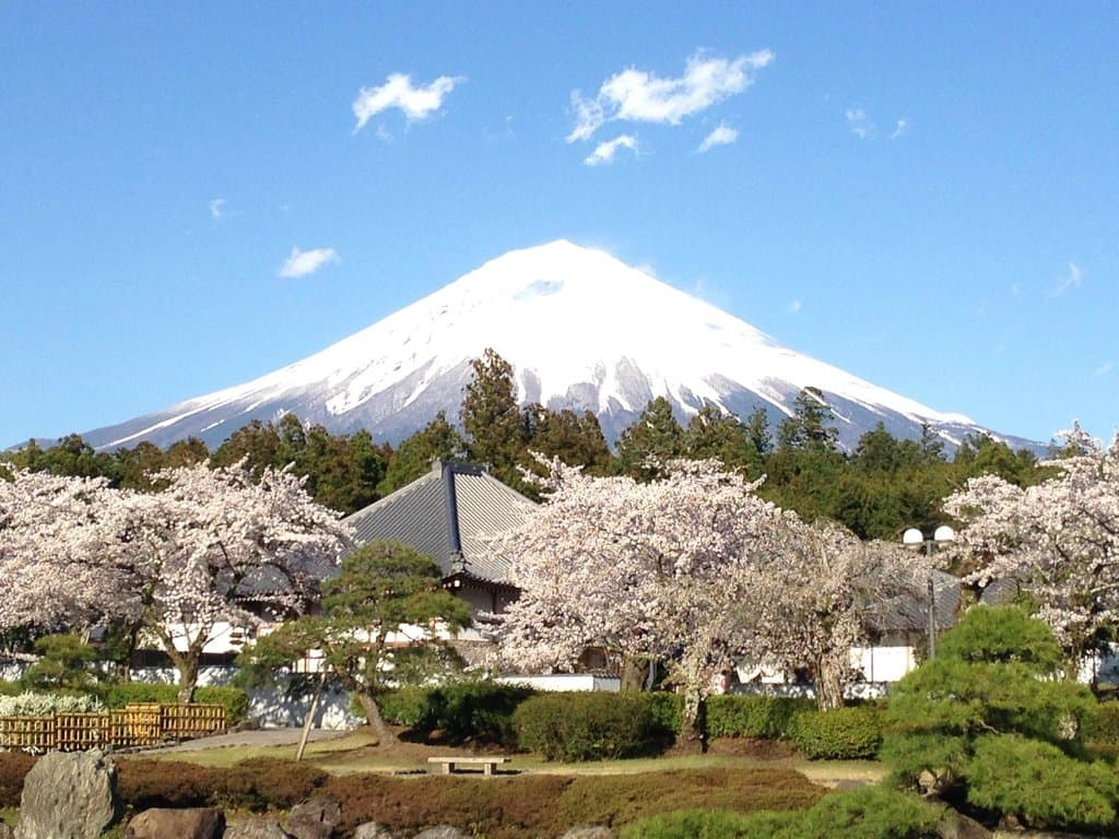 view from the temple