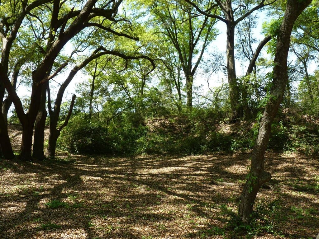 wall