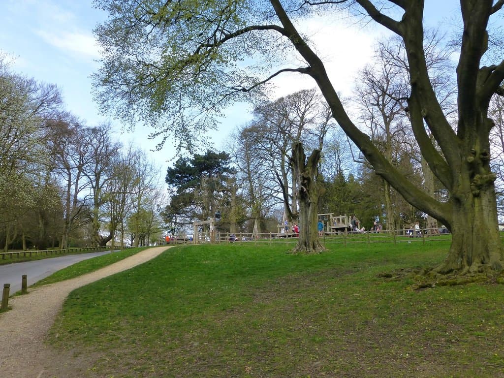 Childrens play area with many activities and climbing frames