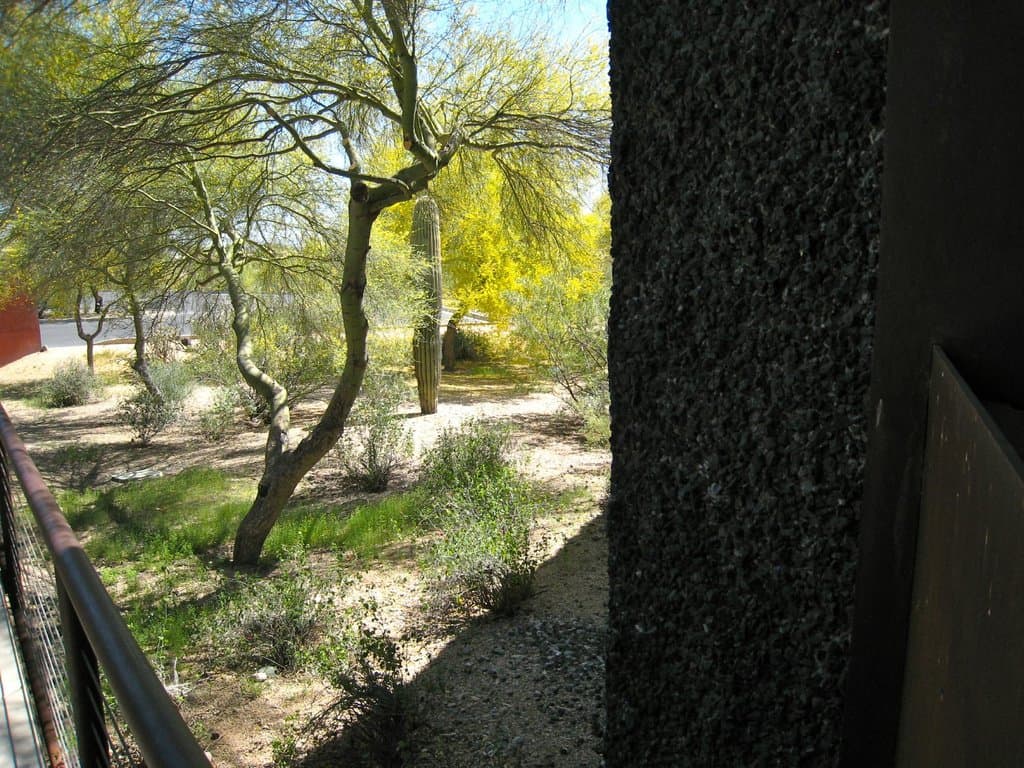 Beautiful grounds