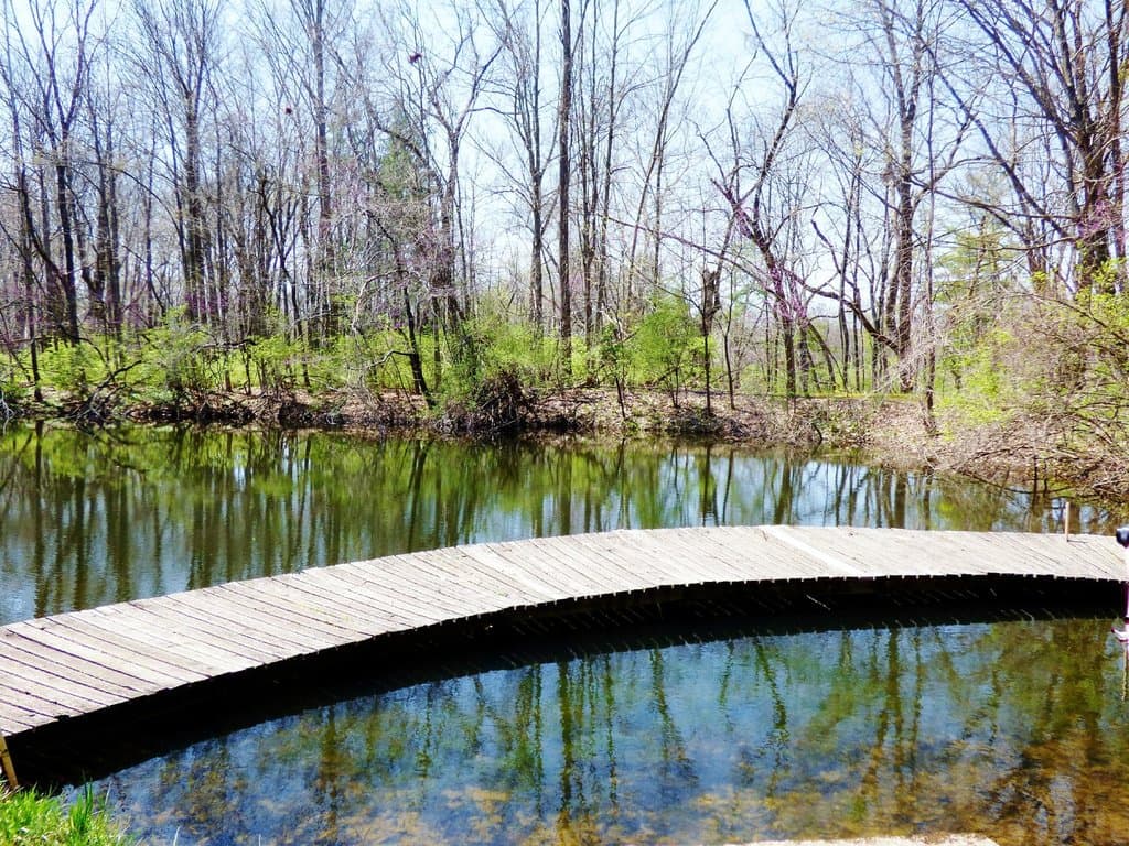 pond