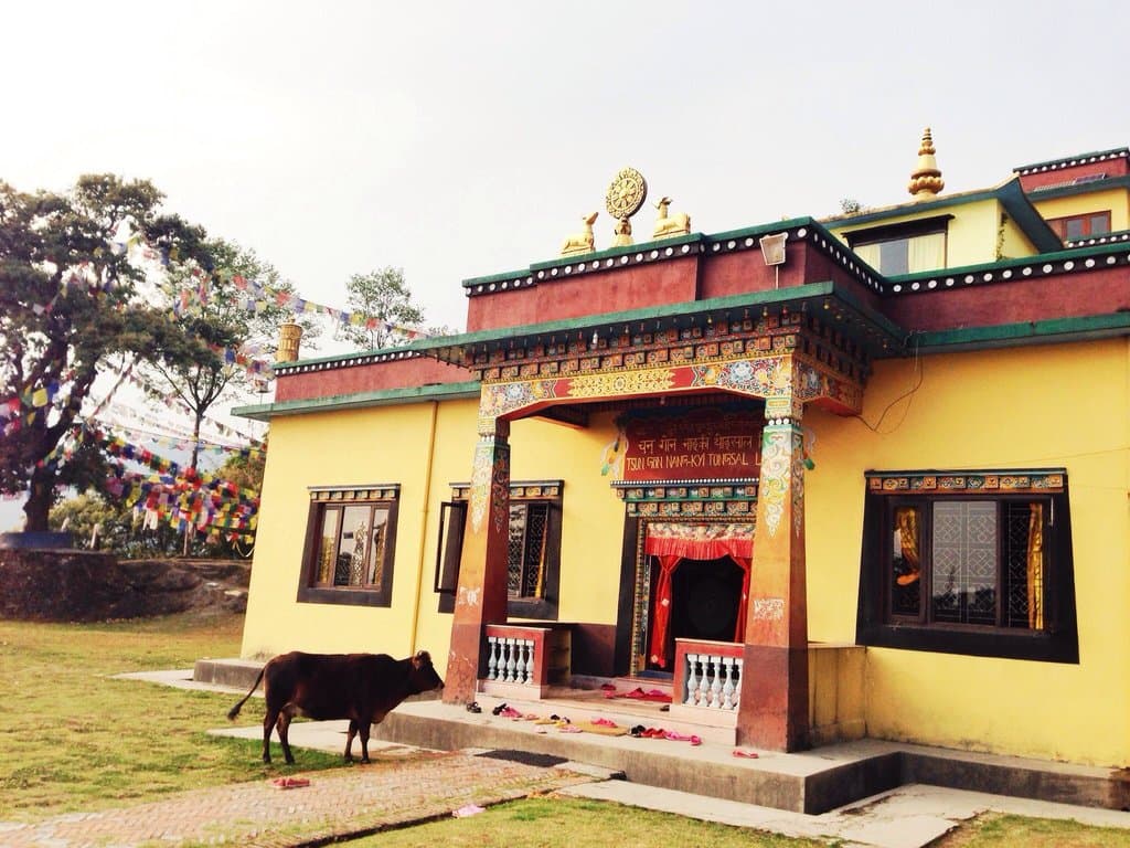 Nagi Gompa