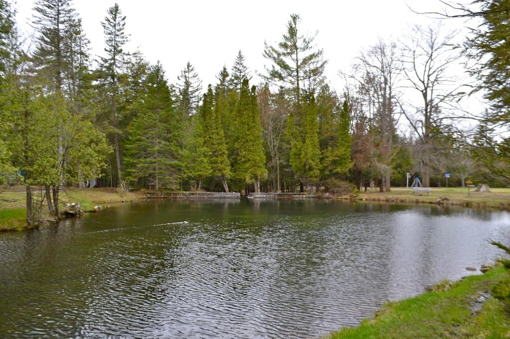 Ripples on the water