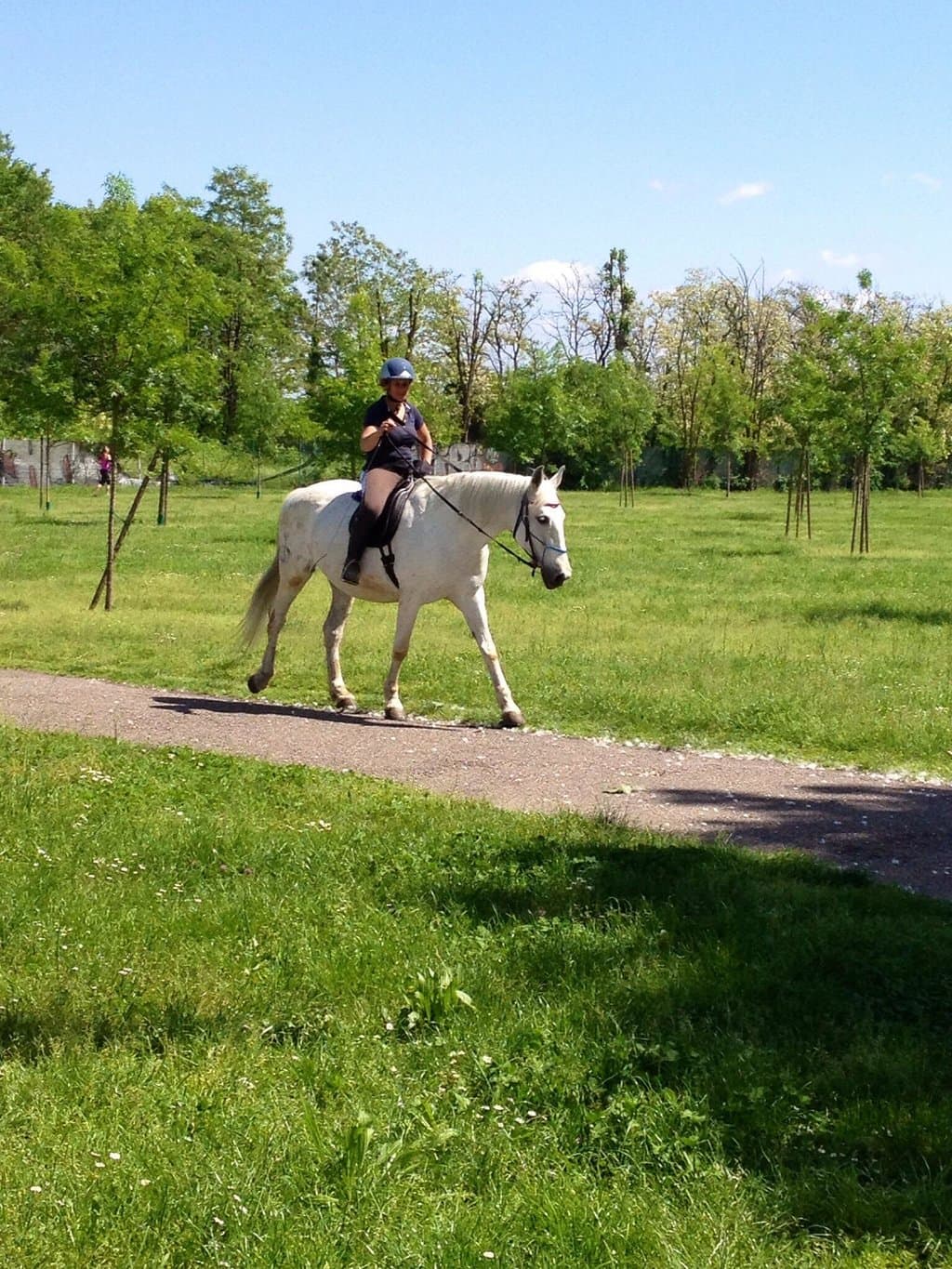 ... E puoi anche montare.....