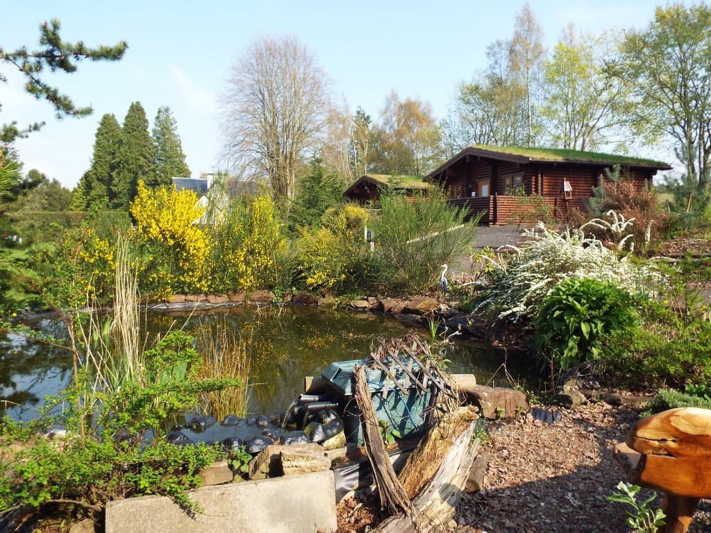 Beech Hedge Lodges with Pond