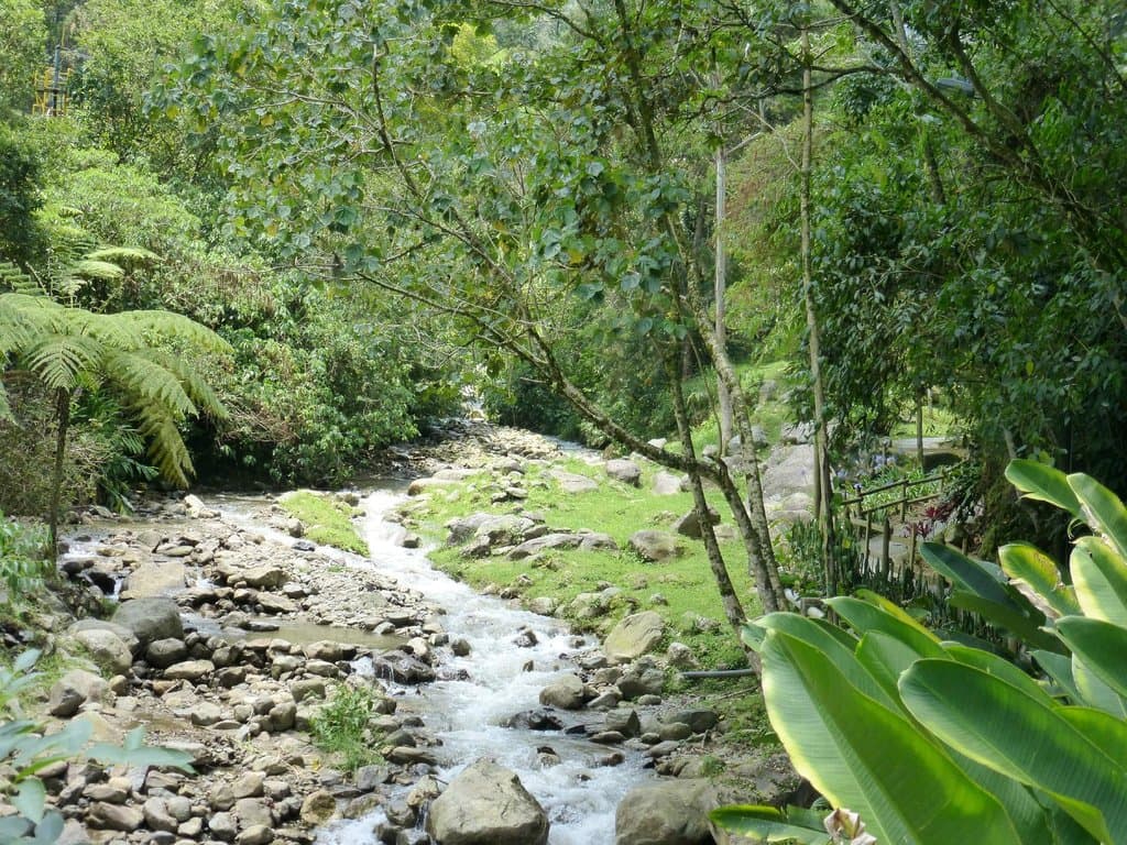 El Salado