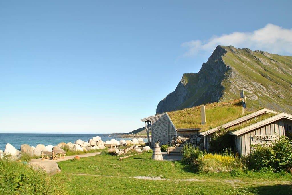 Sommer på Vikten