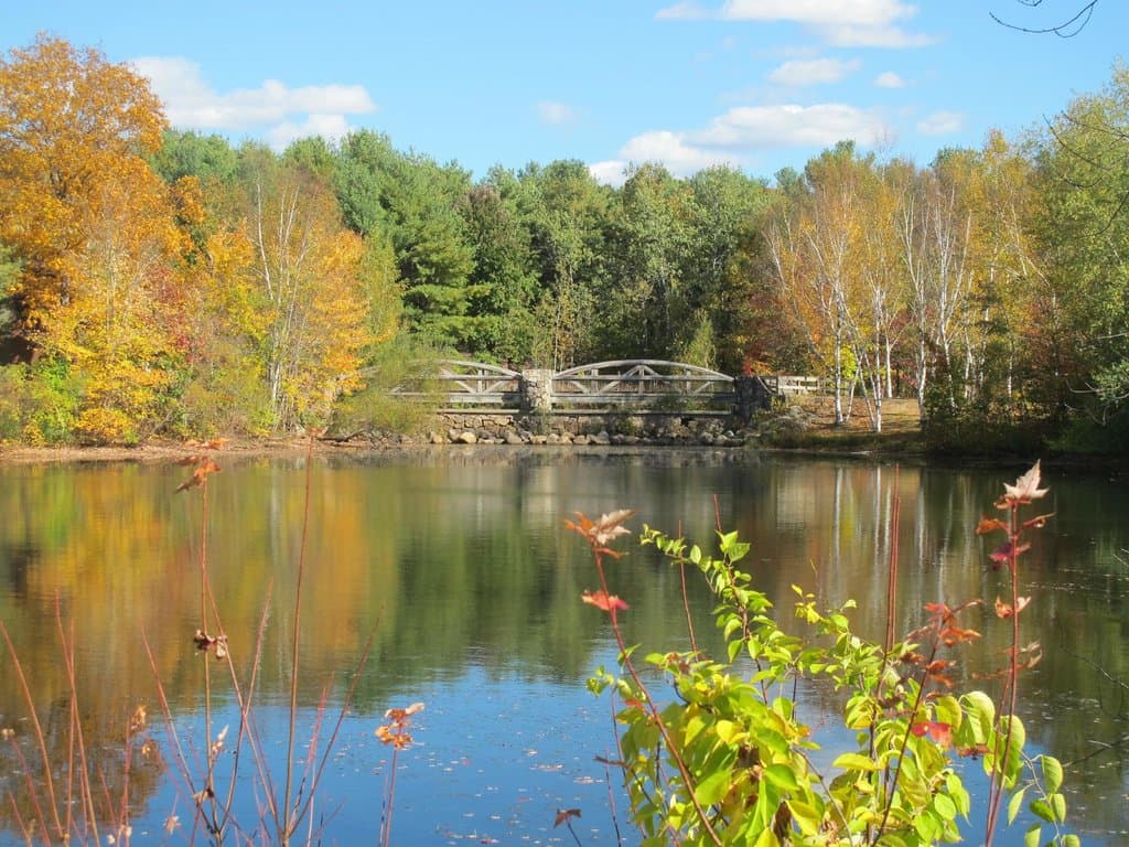 Lincoln Woods State Park, Lincoln RI -- Fall Foliage by Ronald G. Shapiro, PhD