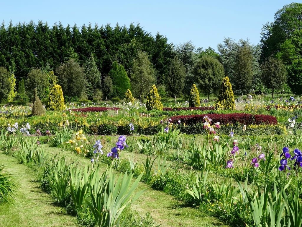 Jardin remarquable des iris