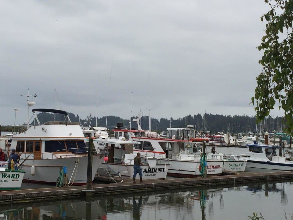 On the waterfront