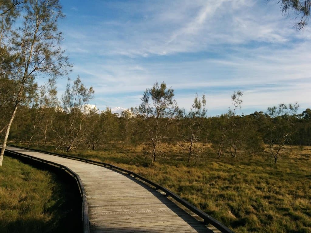 Boardwalk over the wetlands.