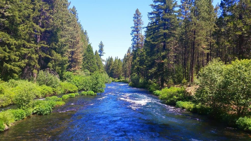 metolius river, which you cross immediately before the hatchery