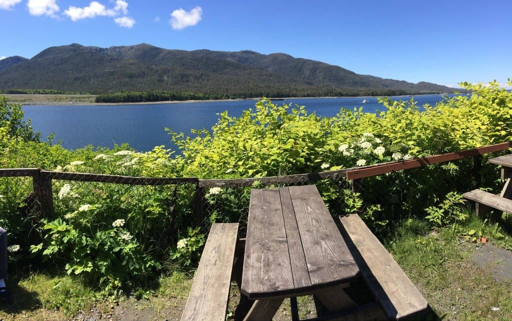 View from the table.