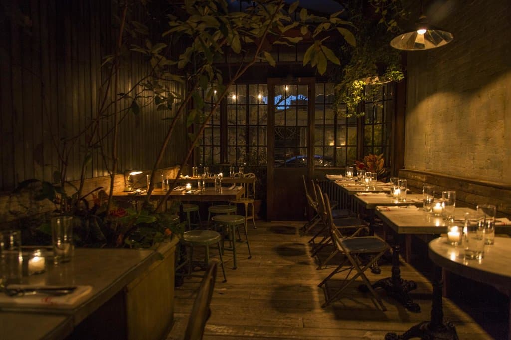 Our outdoor, enclosed garden space