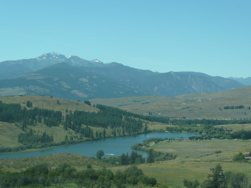 The view