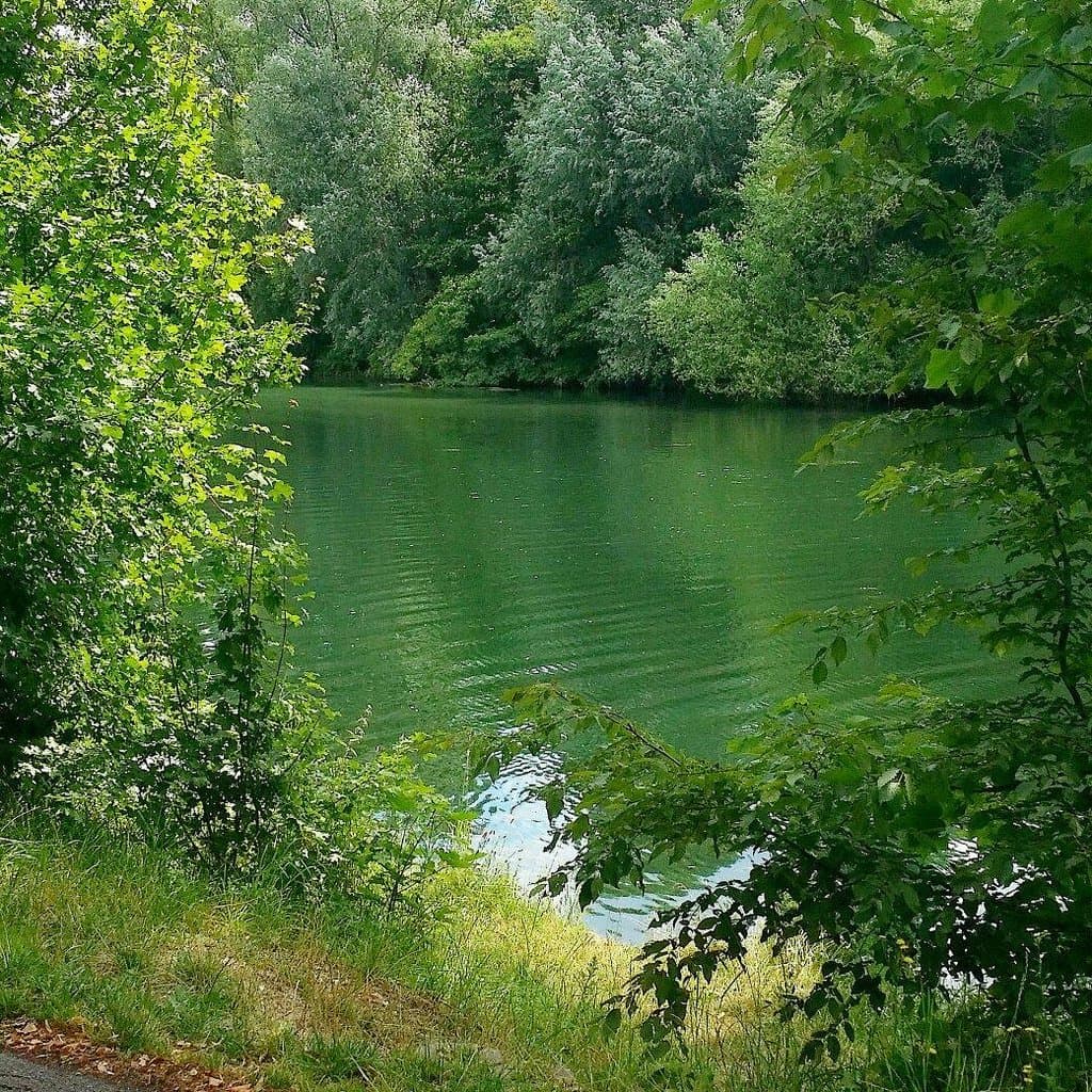 Beautiful nature