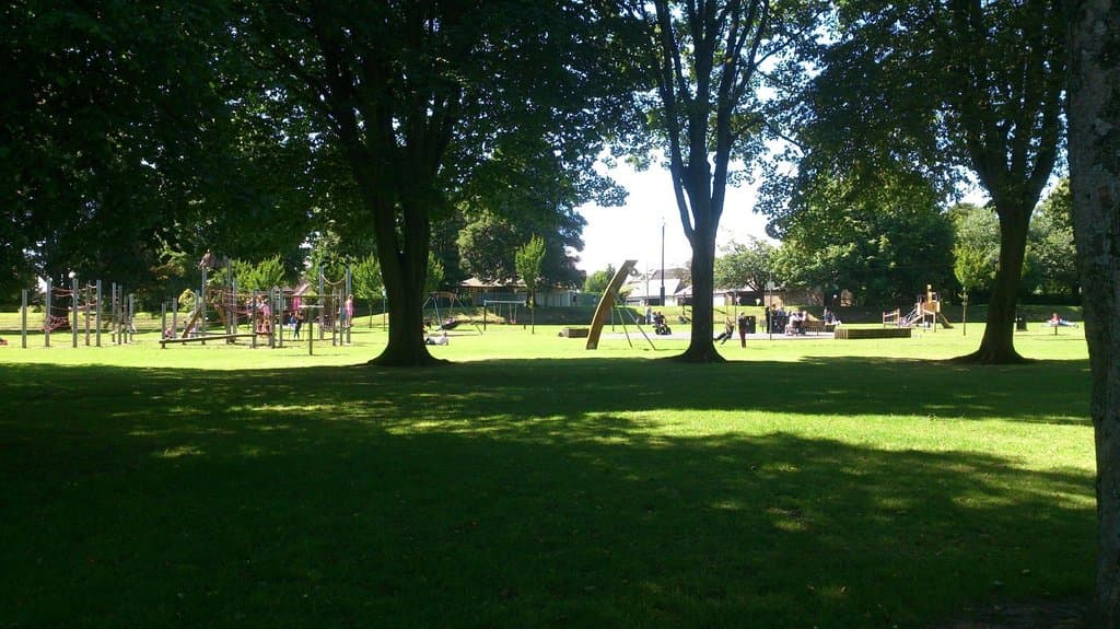 Sunshine in the park