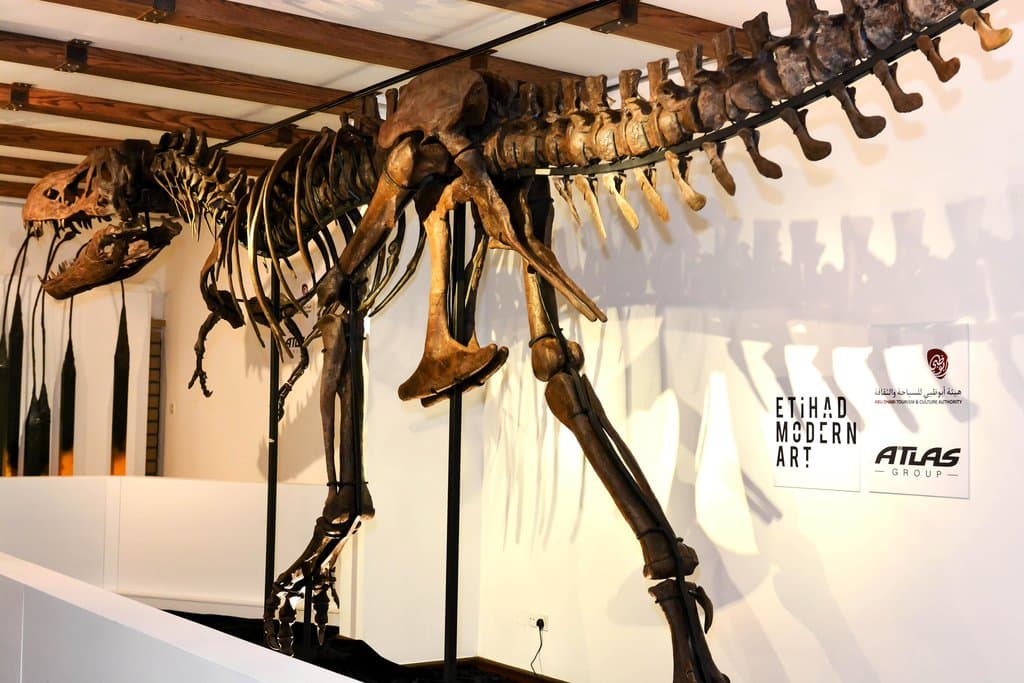 The first and only junior T-Rex skeleton ever found in the world.#hmns #etihadmodernart #moderna