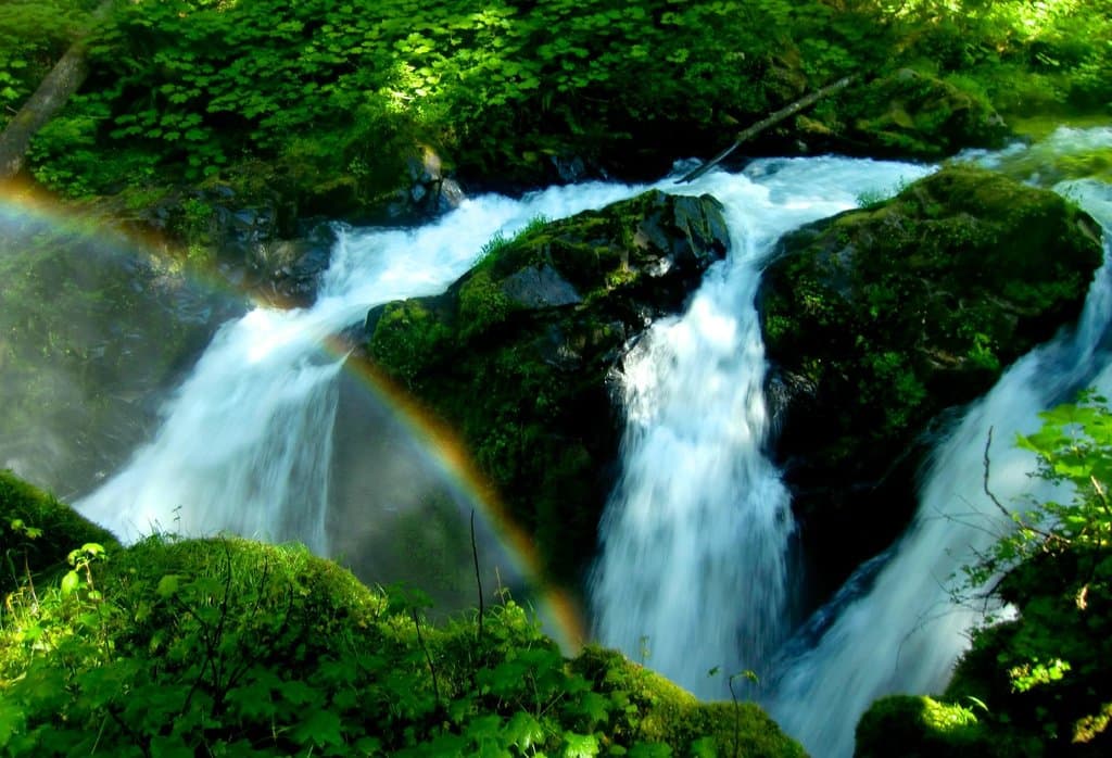 Sol Duc Valley Olympic National Park
