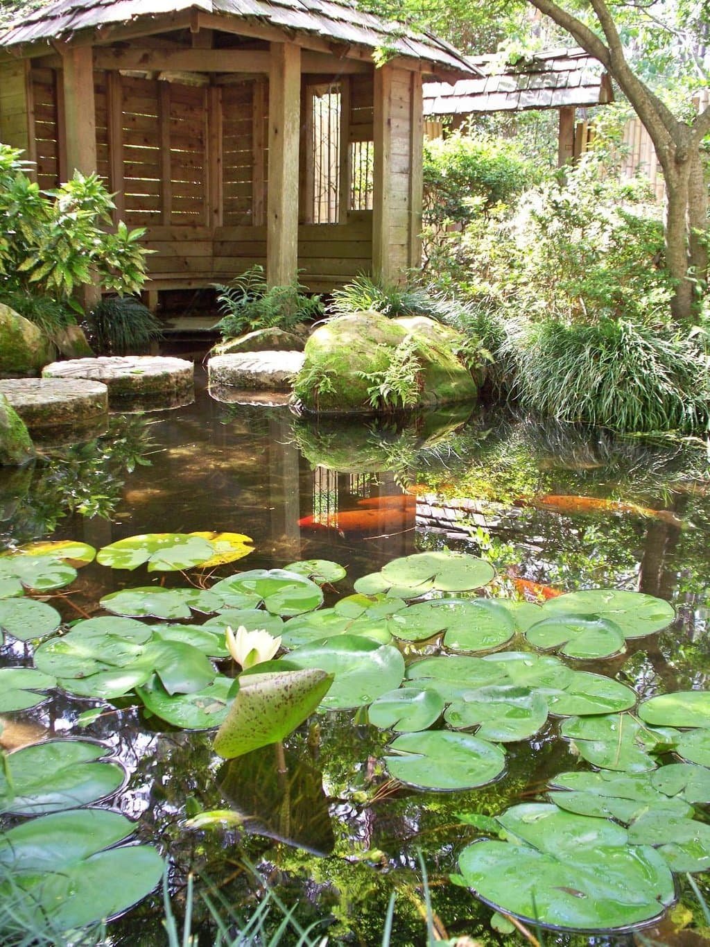 Japanese Garden