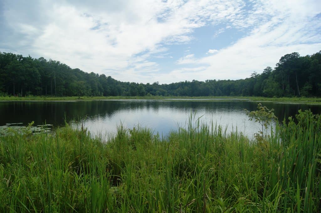 Beaver Lake