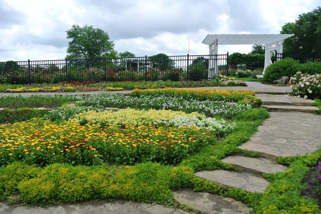 flowers in Gage Park