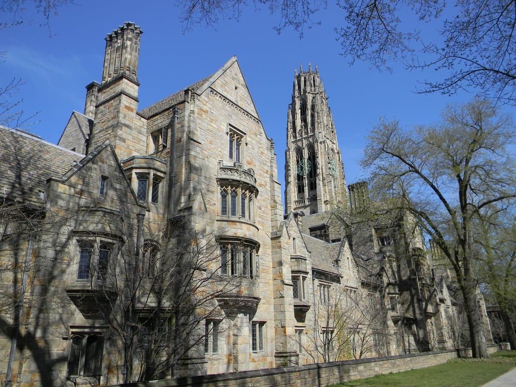 Yale 6