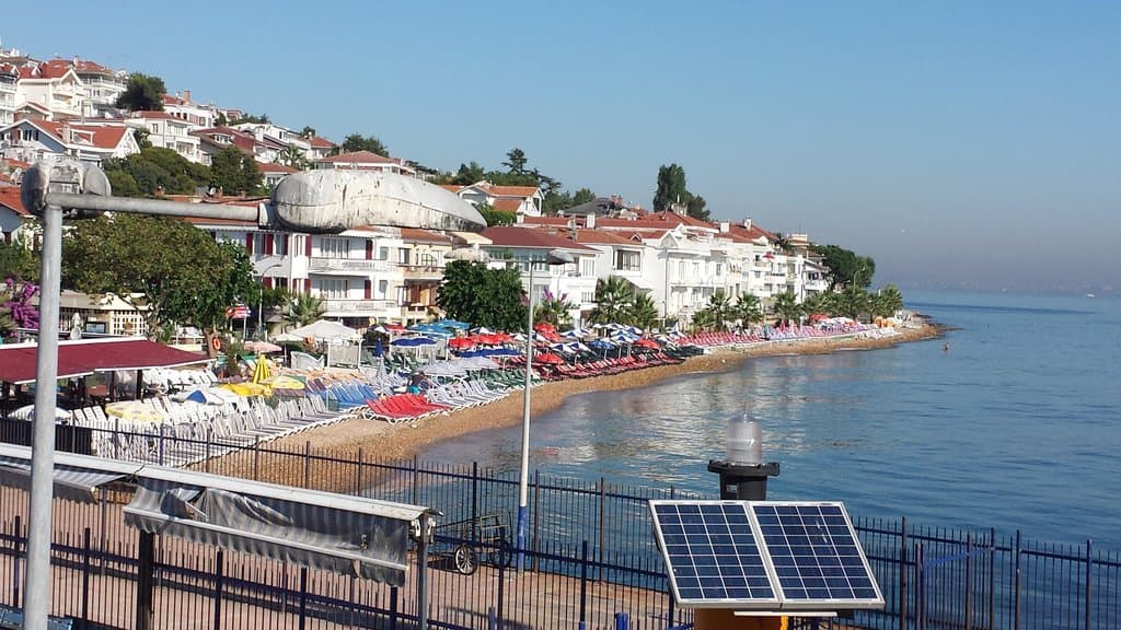 lounge chair mafia island welcome committee