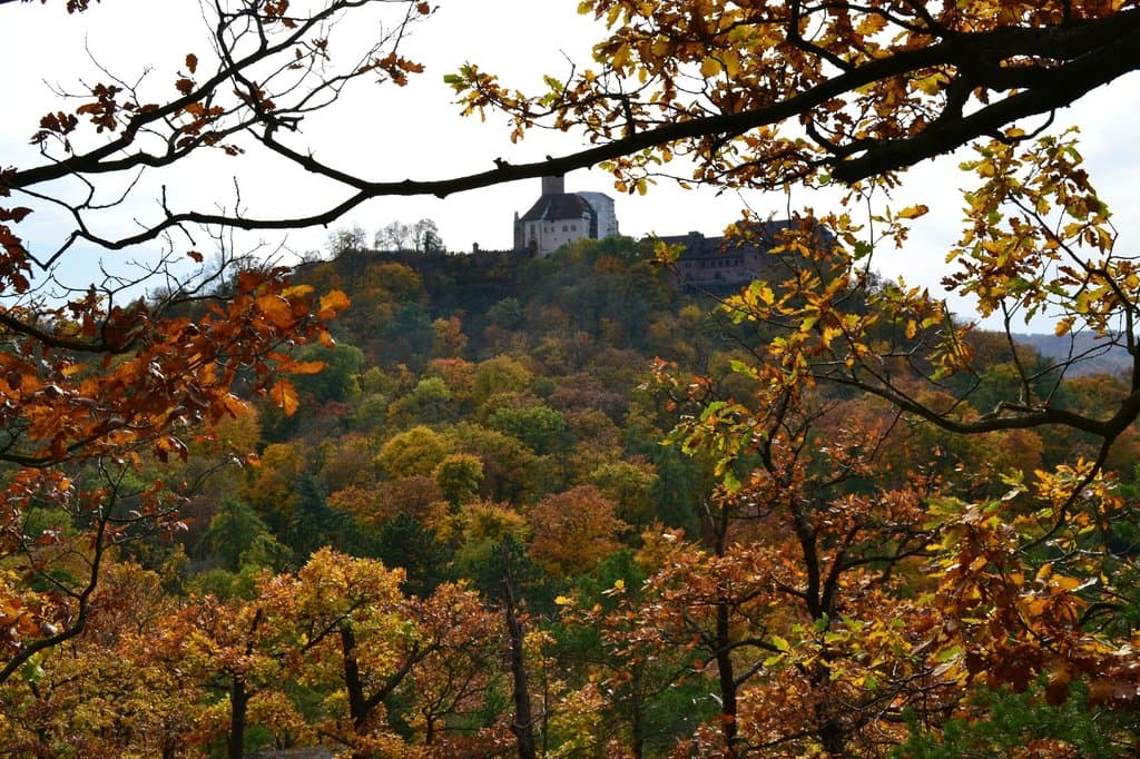 vista do Wartburg