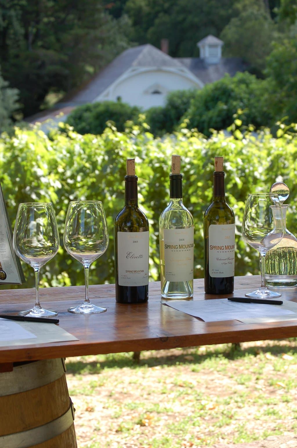 Tasting set up in the olive grove