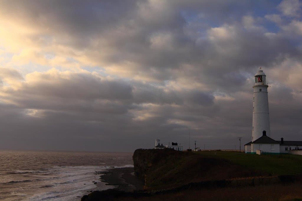 Nash Point Wayne Brewer