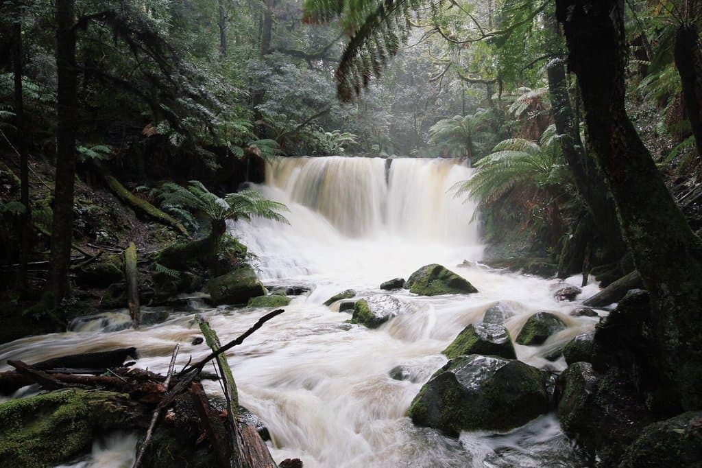 getlstd_property_photo