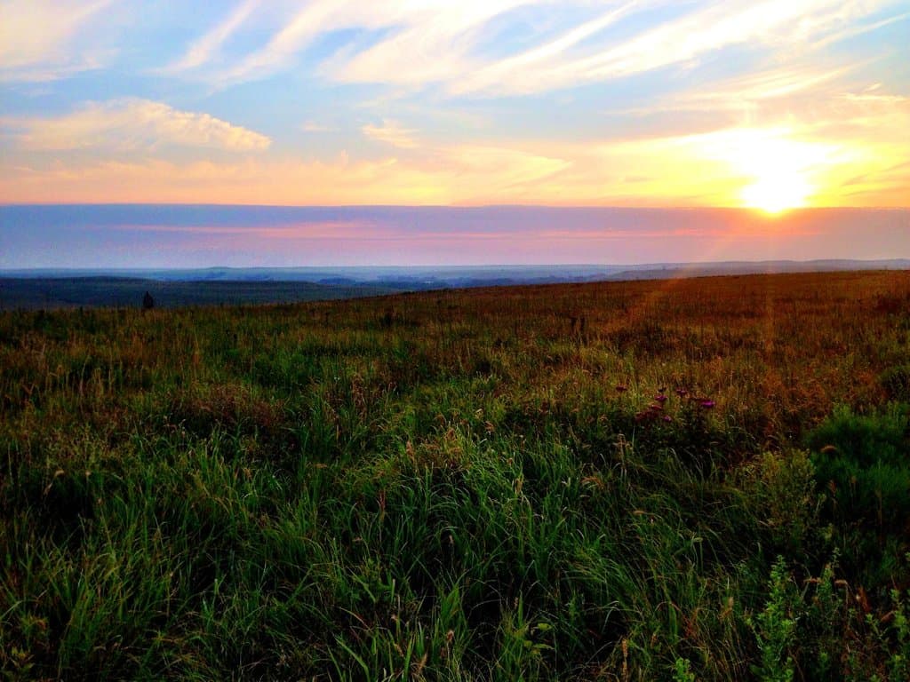 summer sunrise