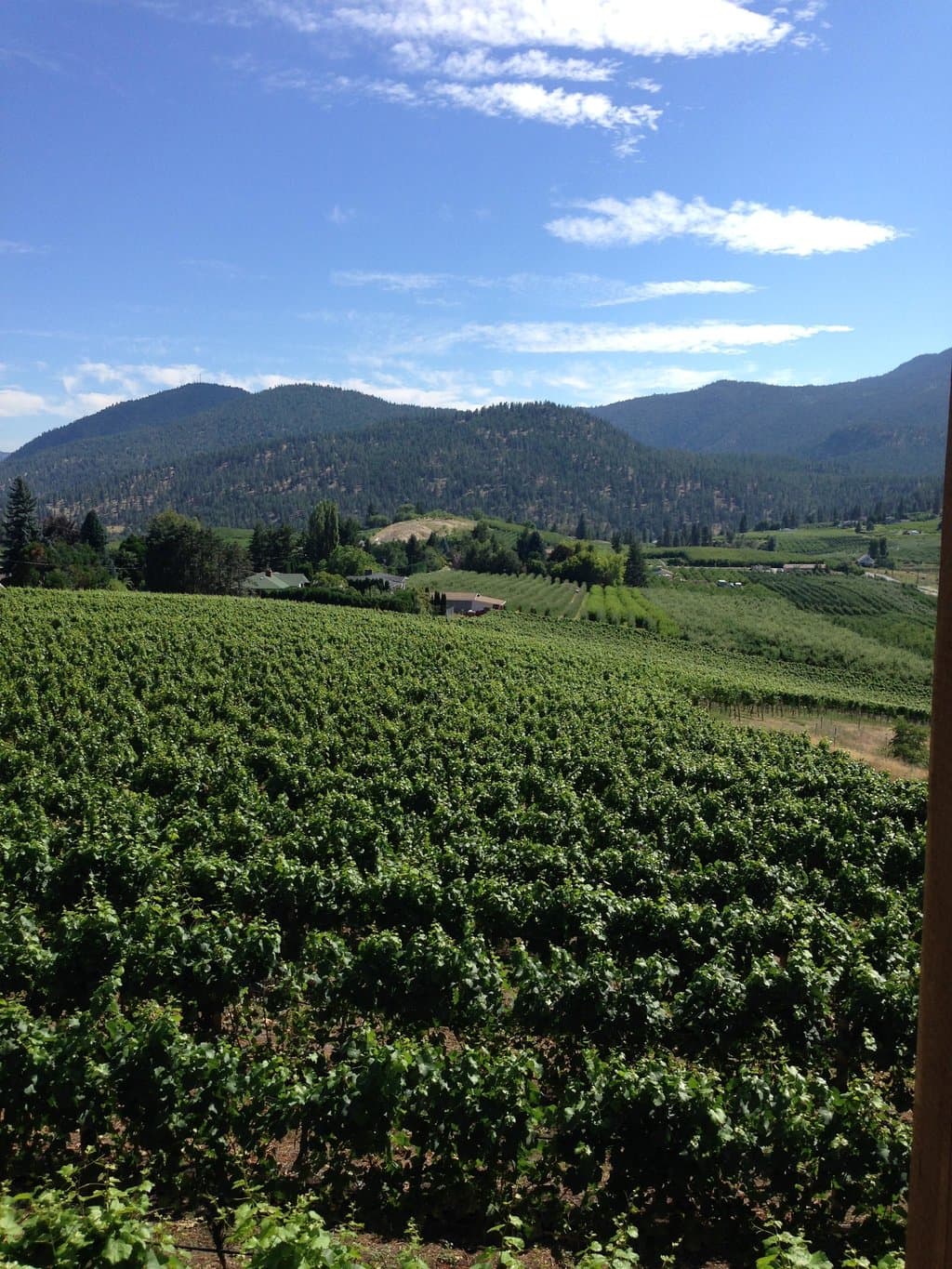 view from the deck