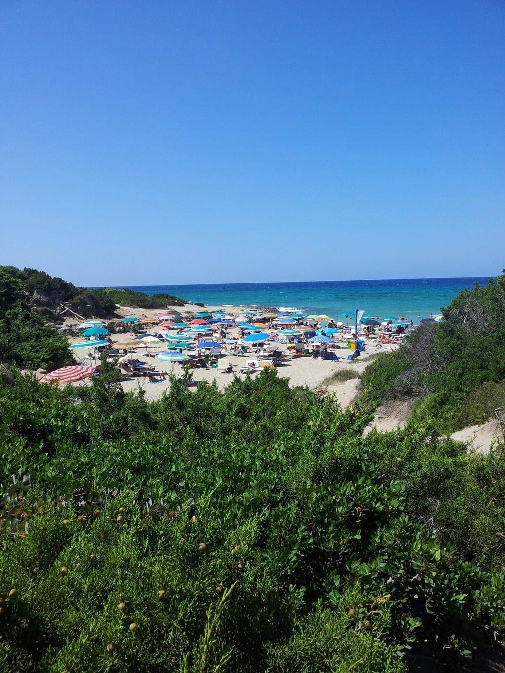 Appena arrivati