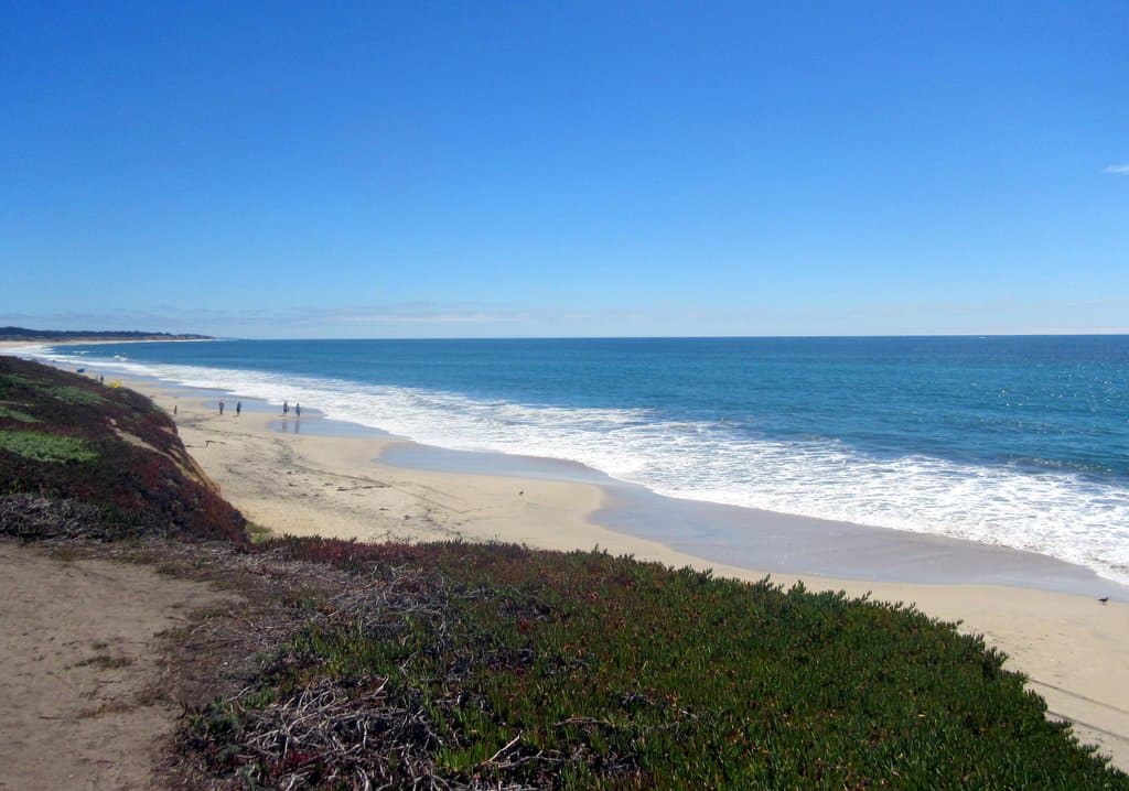 Dunes Beach, Half Moon Bay, Ca
