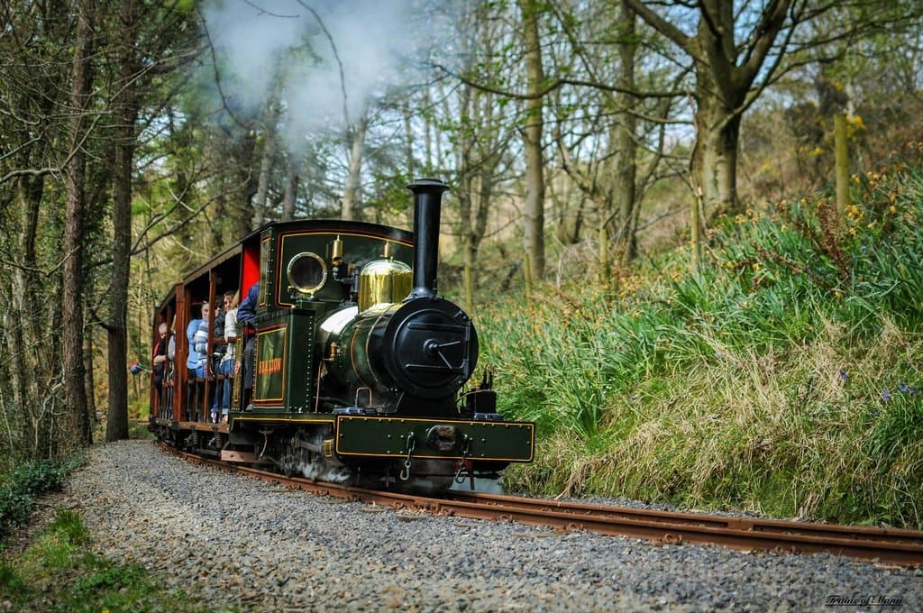 Sea Lion steams through the glen