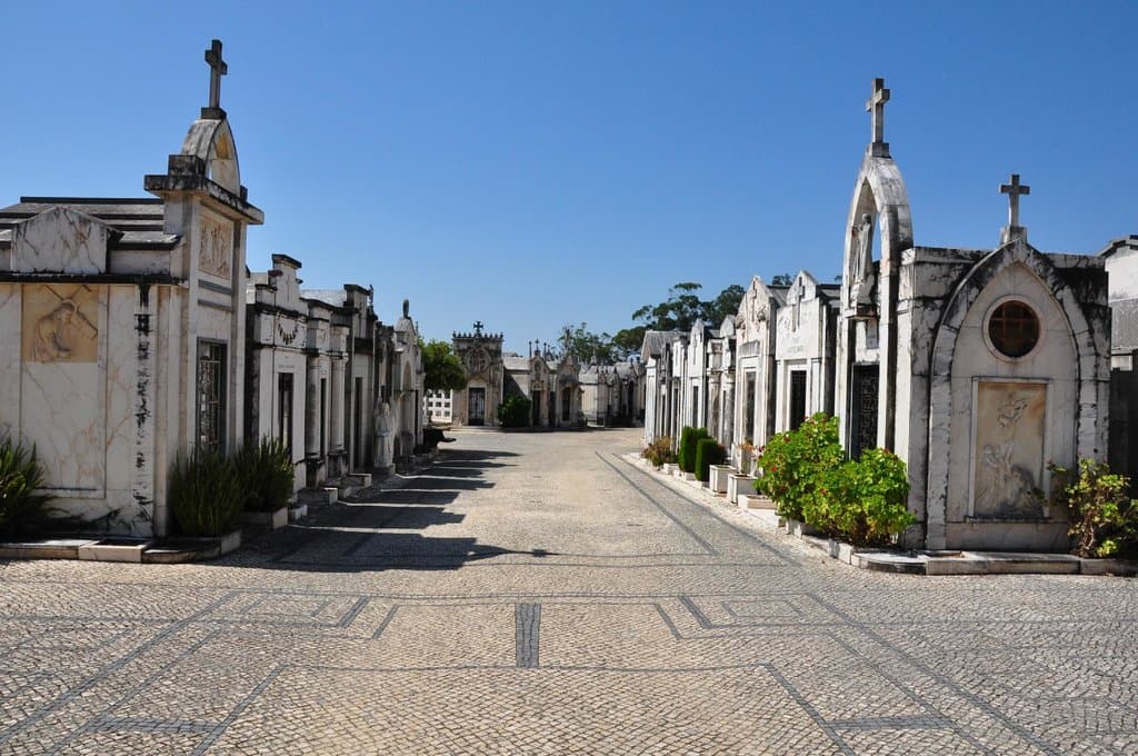 principal street when entering.